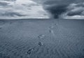 Footprint over the sand Royalty Free Stock Photo