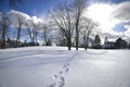 The footprint on the park in winter Royalty Free Stock Photo