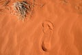Footprint in a red sand