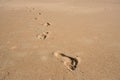 Footprint Relax in summer time on sand beach island nature Royalty Free Stock Photo