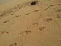 Footprint in San Blas Panama