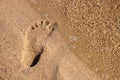 Footprint in the sand Royalty Free Stock Photo