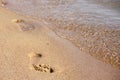 Footprint in the sand Royalty Free Stock Photo