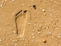 Footprint in the sand Royalty Free Stock Photo
