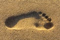 Footprint in sand abstract background Royalty Free Stock Photo