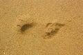 A footprint on sand Royalty Free Stock Photo
