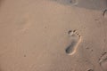 Footprint in the sand on a beach Royalty Free Stock Photo