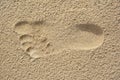 Footprint Royalty Free Stock Photo
