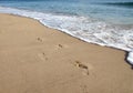 Footprint on sand in beach Royalty Free Stock Photo