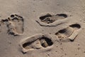 Footprint on sand beach, travel in summer concept, foot print at sandy