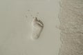 Footprint on a sand on the beach. Tropical vacations concept Royalty Free Stock Photo