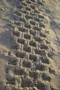 Footprint in sand car tire quadro cycle at sunrise beach Royalty Free Stock Photo