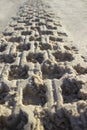 Footprint in sand car tire quadro cycle at sunrise beach Royalty Free Stock Photo