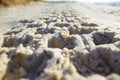 Footprint in sand car tire quadro cycle at sunrise beach Royalty Free Stock Photo