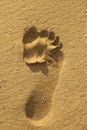footprint Royalty Free Stock Photo