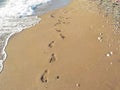 Footprint in the sand