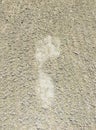 Footprint in the sand at Fourseasons resort Royalty Free Stock Photo