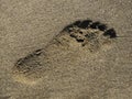 Footprint in the sand Royalty Free Stock Photo