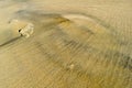 Footprint in Sand