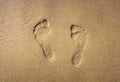 Footprint in the sand of the sea beach Royalty Free Stock Photo