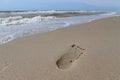 Footprint on the sand on the sea beach Royalty Free Stock Photo