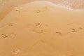 Footprint, sand, sea