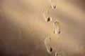 Footprint on the Sand from someone who walk into the Sea, Sunny Royalty Free Stock Photo
