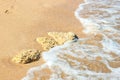 Footprint on the sand