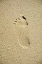 Footprint sand Royalty Free Stock Photo