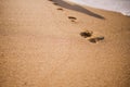 Footprint on the sand walking at sunset time Royalty Free Stock Photo