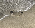 Footprint on sand washing out by sea wave close-up. People disappear concept