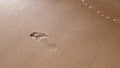 Footprint on a sandy beach Royalty Free Stock Photo