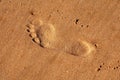 Footprint on the sandy beach Royalty Free Stock Photo