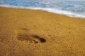 Footprint on the sea beach sand Royalty Free Stock Photo