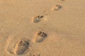 Footprint in the sea sand. diagonal way. Travel concept. Royalty Free Stock Photo