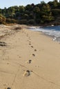 Footprint on a send beach