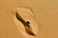 Footprint shape with black beetle, Textures and patterns on the sand on the Sahara Desert. Royalty Free Stock Photo
