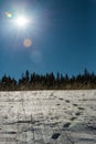 Footprint on snow and blue sky with Sun flare Royalty Free Stock Photo