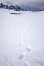 Footprint snow