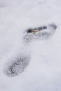 Footprint in the Snow