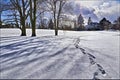 The footprint on the snow in the winter Royalty Free Stock Photo