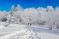 The footprint on the snowfield sunshine