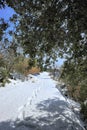 Footprint of snowshoes on snow covered path in Etna Park