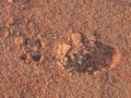 Footprint of soccer shoe in tennis court surface. Deep marks