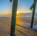 Footprints and Tracks at Sunrise on the Beach Royalty Free Stock Photo