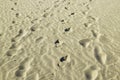 Footprint in wet sand of a beach fine and golden