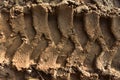 Footprint of wheel tread on the ground road. The trail from the tread of trucks wheels. Car tire tread imprint on sand, background