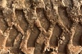 Footprint of wheel tread on the ground road. The trail from the tread of trucks wheels. Car tire tread imprint on sand, background Royalty Free Stock Photo