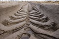 Footprint of wheel tread on the ground road. The trail from the tread of trucks wheels. Car tire tread imprint on sand, background Royalty Free Stock Photo