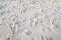 Footprint on white sand at the beach in sunset Royalty Free Stock Photo